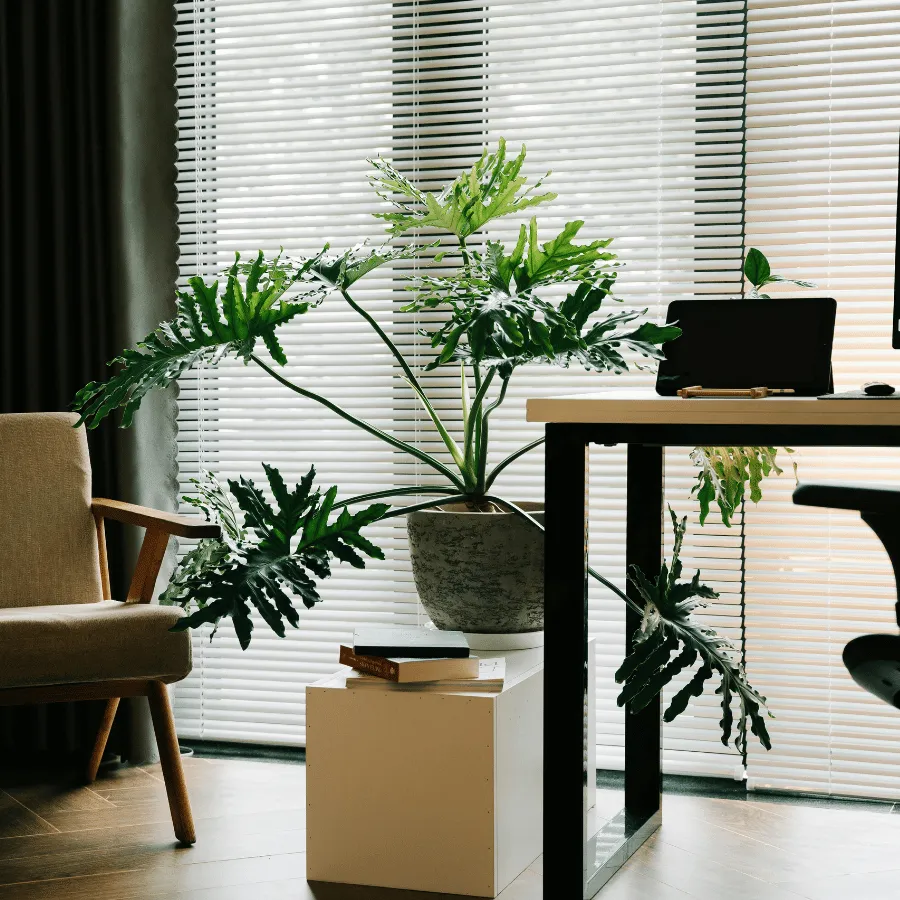 débarras de bureau à montpellier